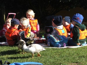 Children with ducklings