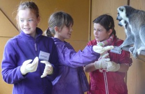 Junior Zoo Keepers