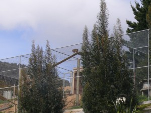 Wonderful new enclosures at HUHA