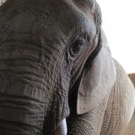 Mila sleepy eyes Mila sleepy eyes