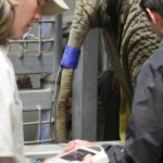 Mila health exam Mila health exam