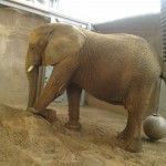 Playing in the sand Playing in the sand