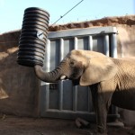 Mila finds the goodies Mila finds the goodies