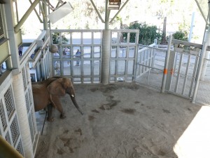 Mila's first step out of quarantine