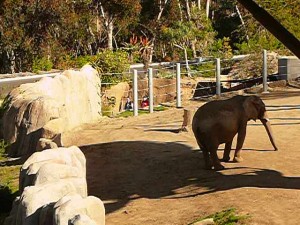 Mila first day out of quarantine