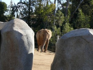 Mila relaxed in her new surroundings